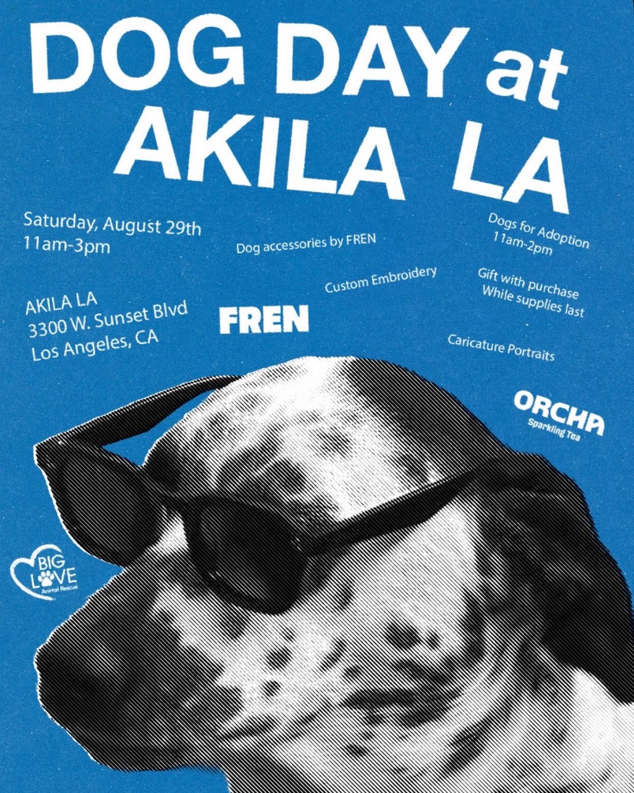 Blue illustrated Dog Day flyer for AKILA LA