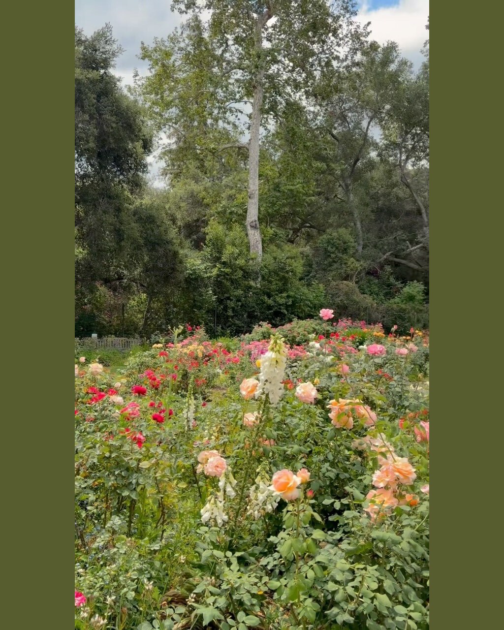 Sofar Sounds at Descanso Gardens, live music after hours among the oak woodlands, Friday August 28 and Saturday August 29.