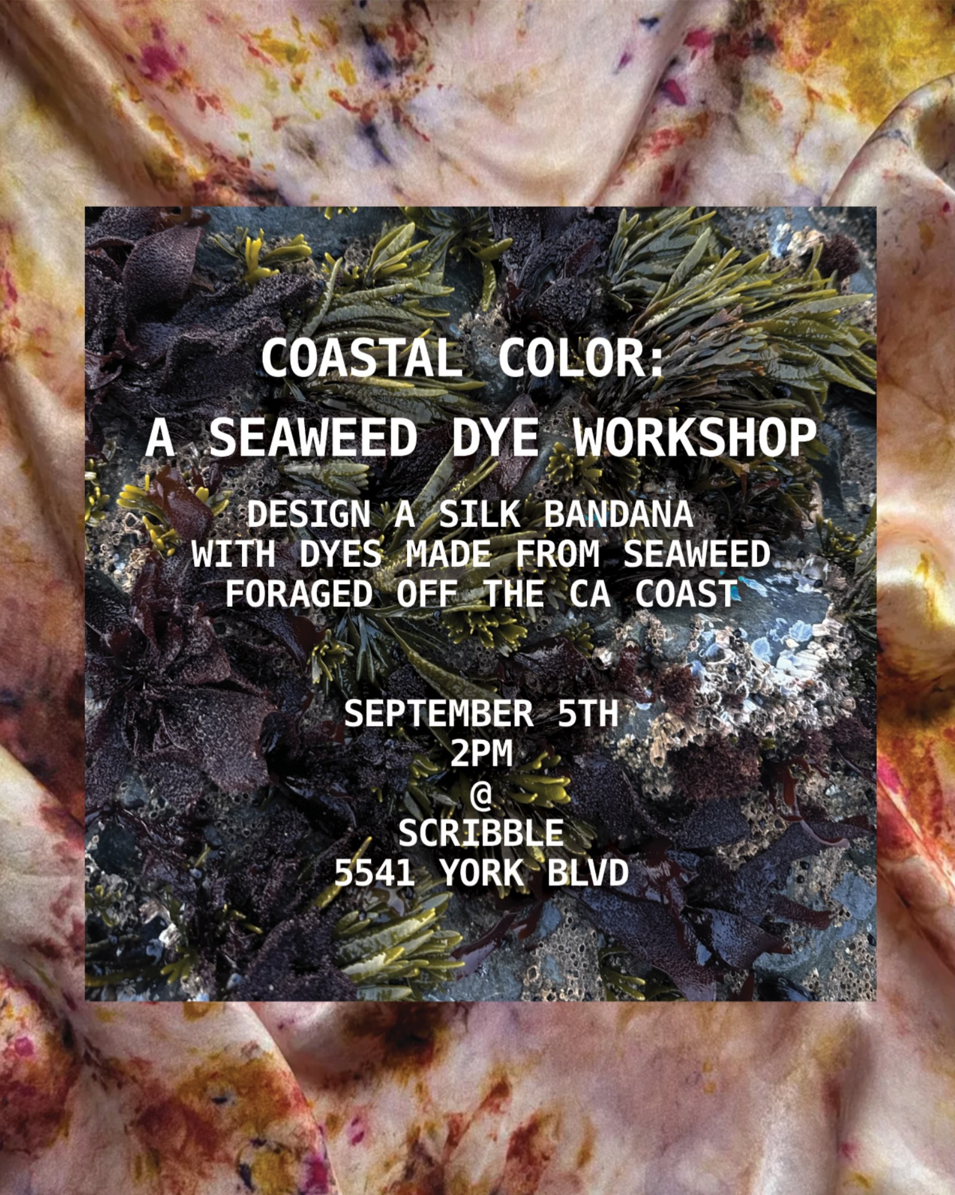 Coastal Color seaweed dye workshop flyer at Scribble for September 5