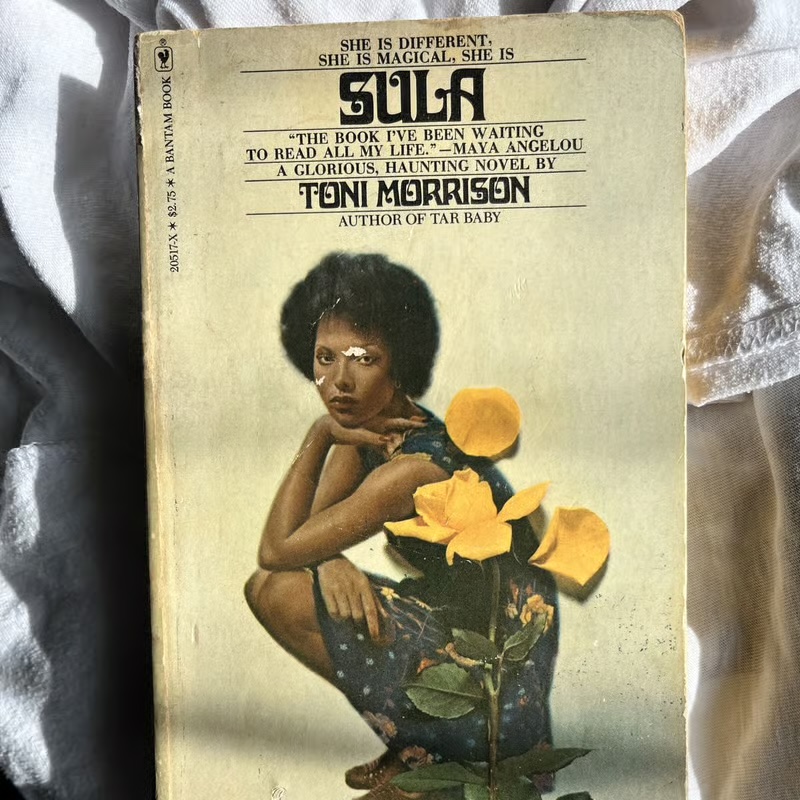 Vintage Sula book-cover flyer for Venice Book Club's final discussion