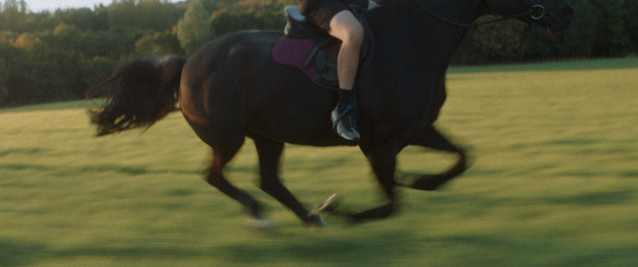 Young horse riders in a still from Stepney Western