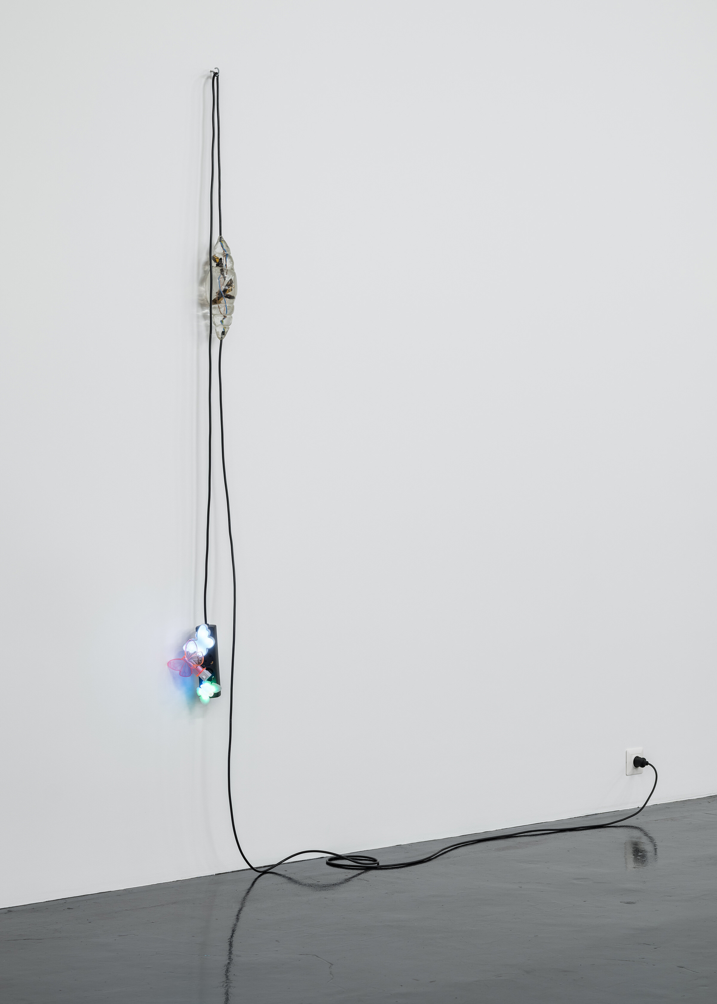 A black extension cord hangs from a wall, with three butterfly nightlights plugged into it
