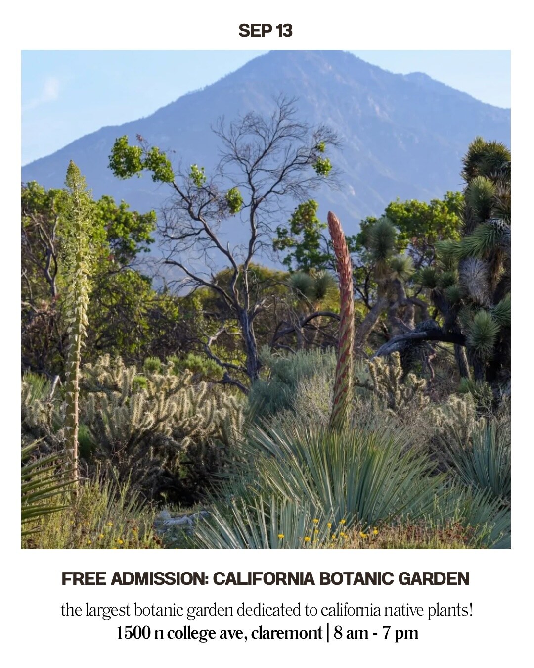 california biodiversity day free day flyer