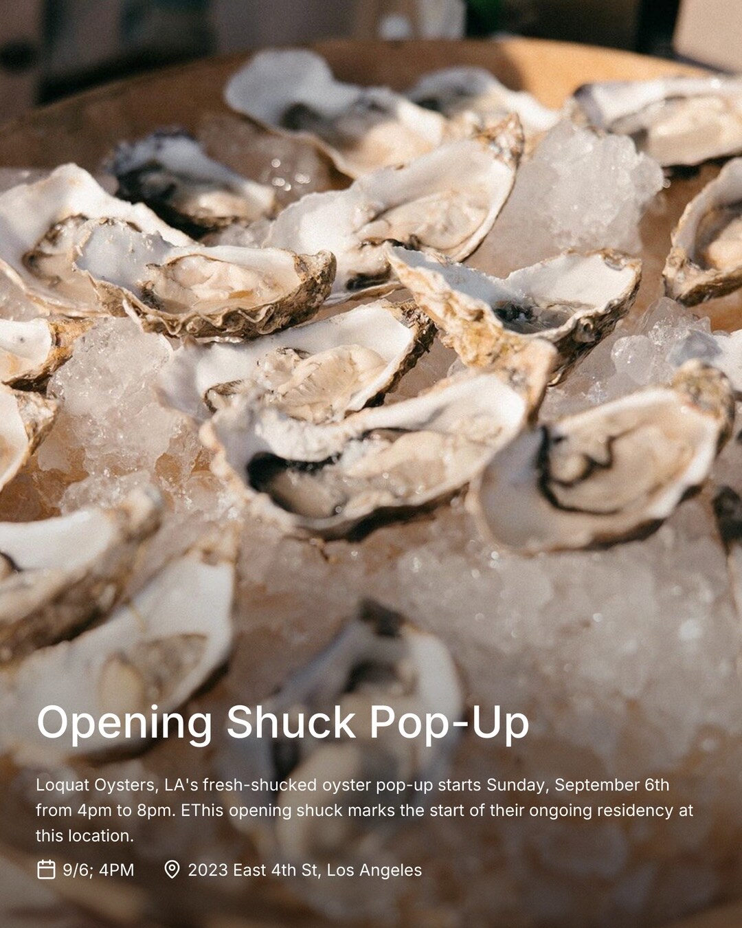loquat oysters pop-up flyer