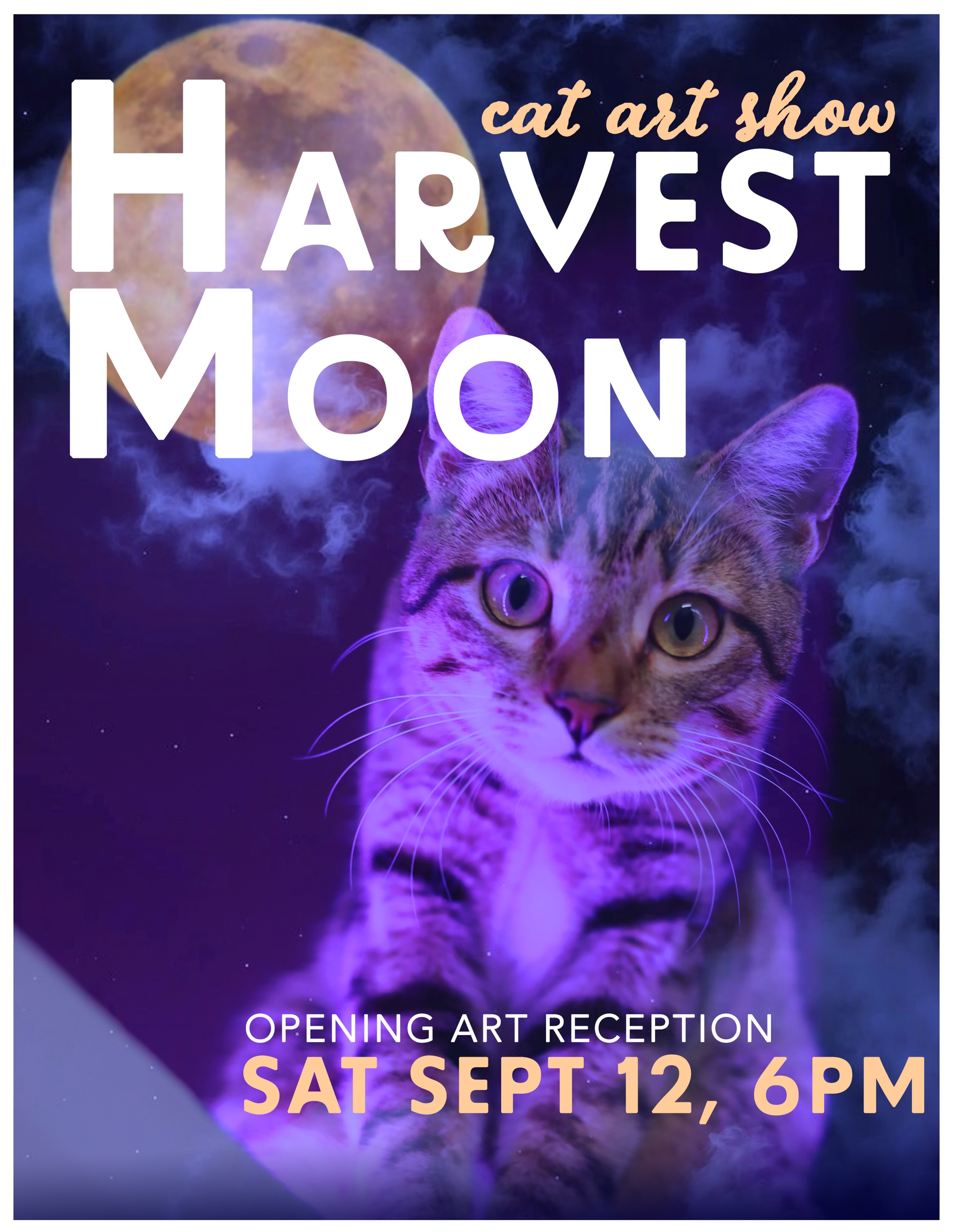 Harvest Moon cat art show opening reception flyer for September 12 at Tail Town Cats