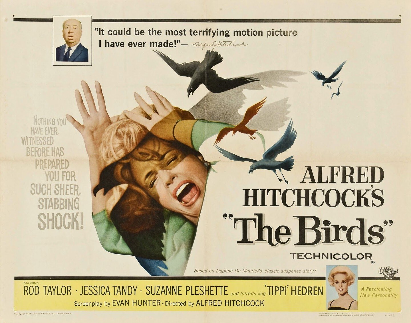Original poster for Alfred Hitchcock’s The Birds, screening from an I.B. Technicolor 35mm print at Vista Theater.