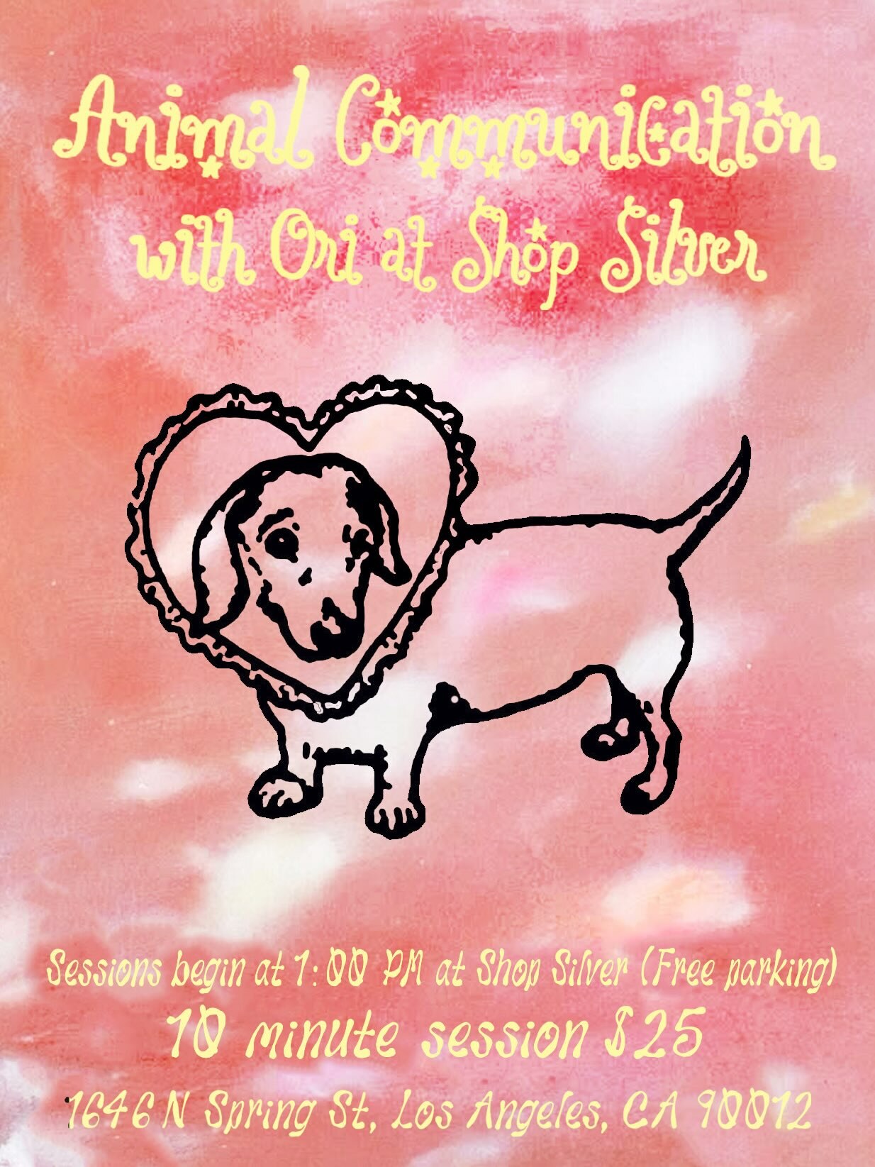 Animal Communication with Ori at Shop Silver flyer