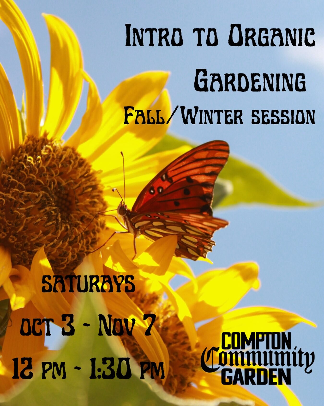 Introduction to Organic Gardening fall and winter session flyer with a butterfly on yellow sunflowers, Saturdays October 3 through November 7 from noon to 1:30 PM.