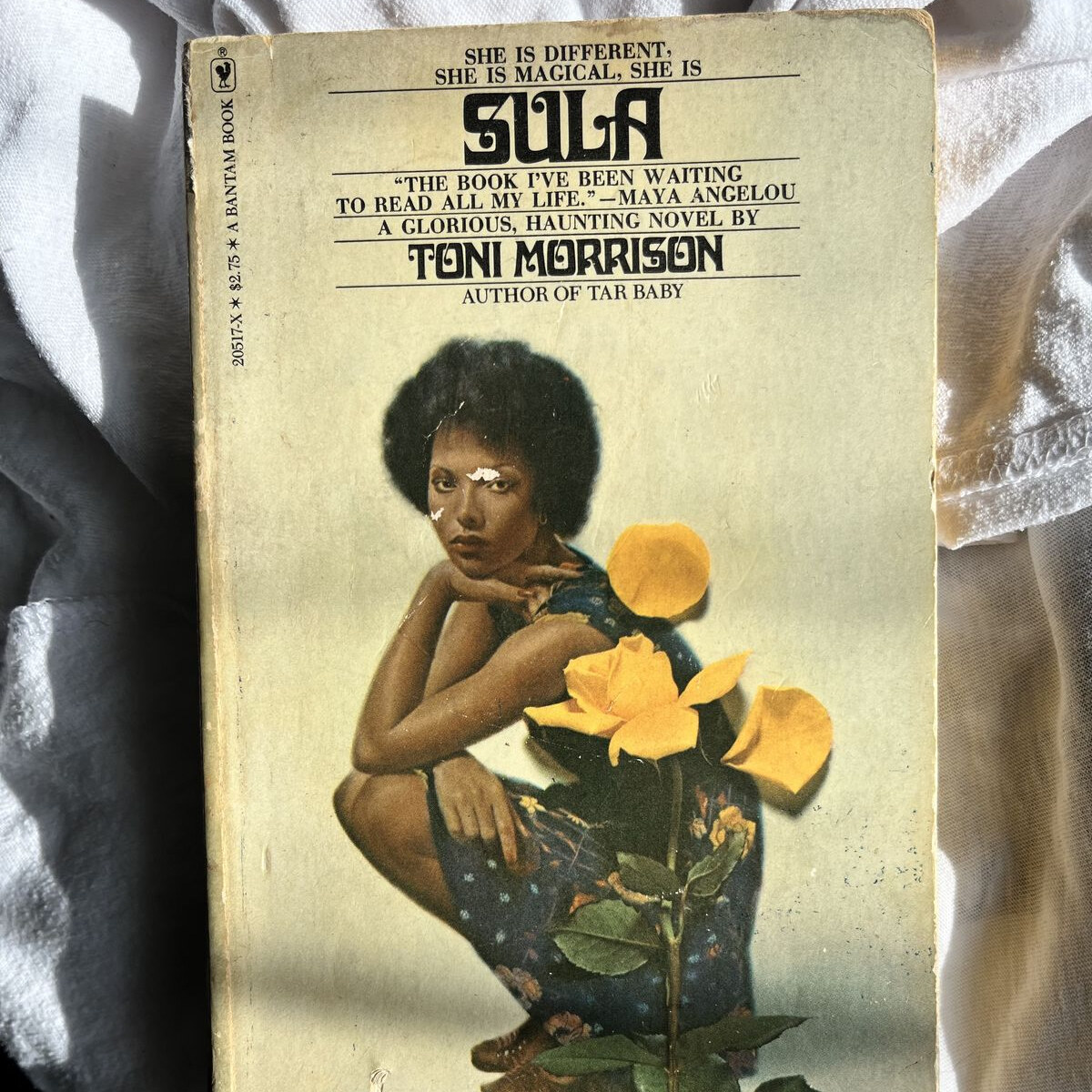 Dark vintage book-cover artwork for Venice Book Club's third Sula discussion.