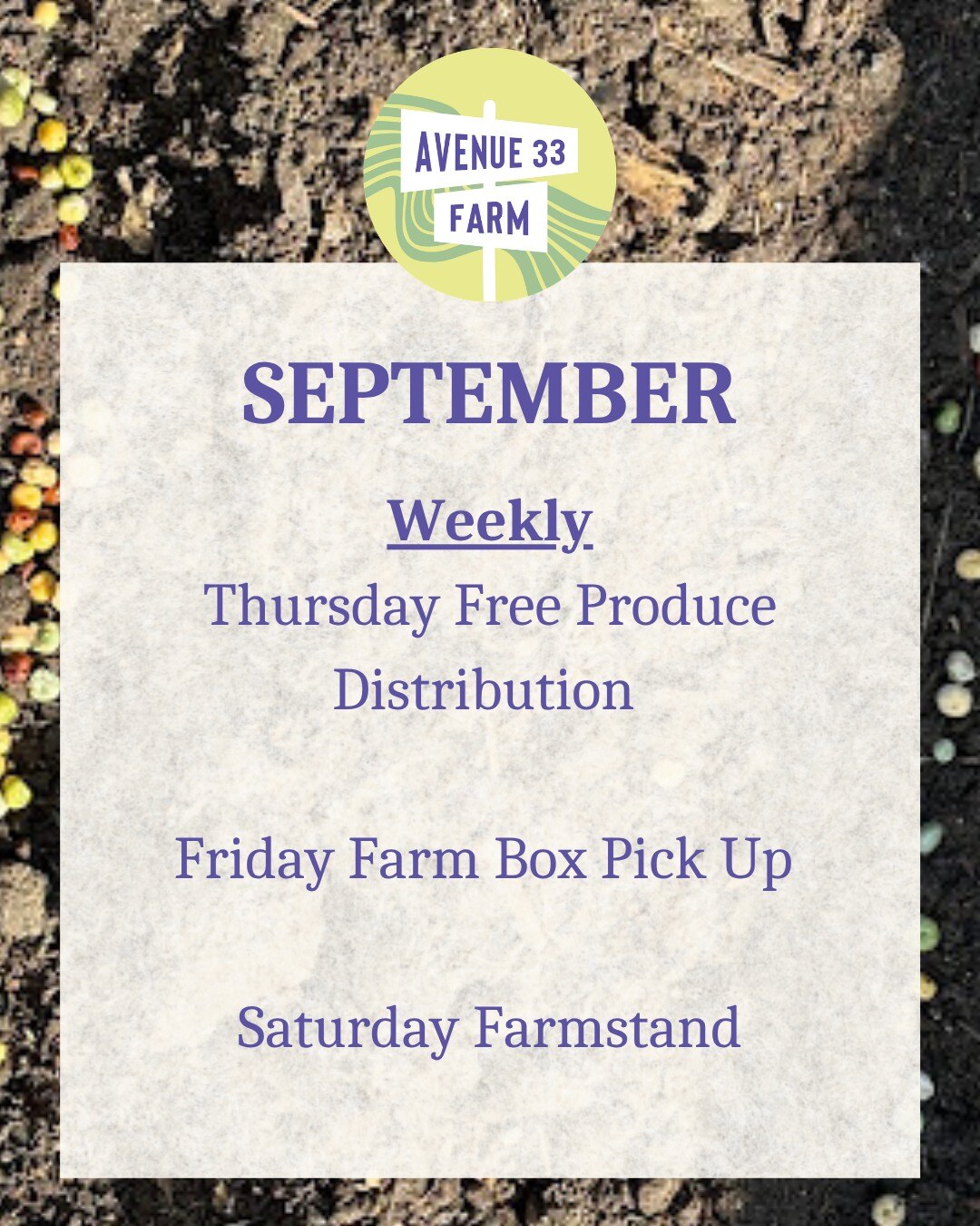 Avenue 33 Farm September weekly programs flyer