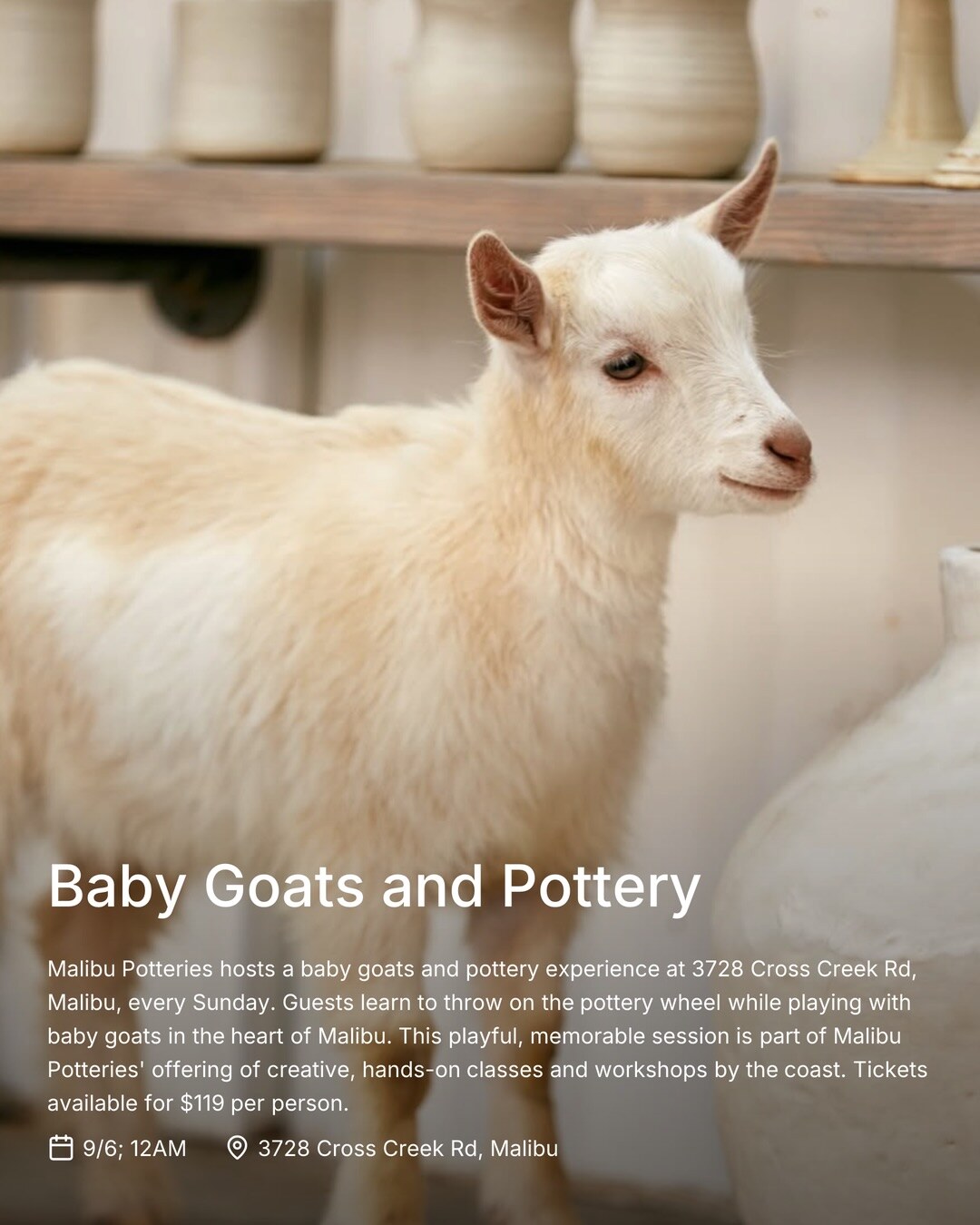 baby goats and pottery workshop flyer
